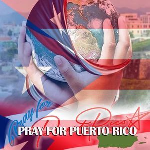 Meet your Posher, Lynn